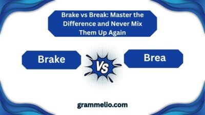 Brake vs Break