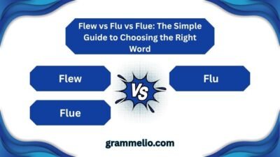 Flew vs Flu vs Flue