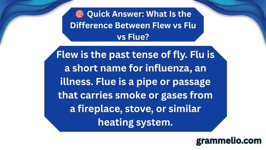 Flew vs Flu vs Flue