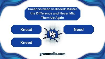 Knead vs Need vs Kneed