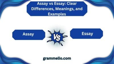 Assay vs Essay