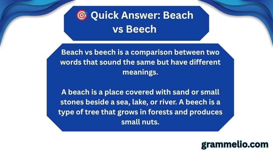  Beach vs Beech