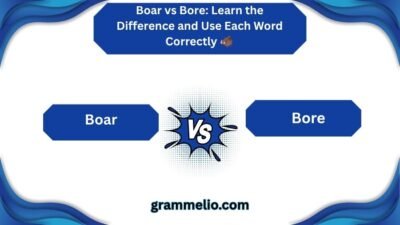 boar vs bore