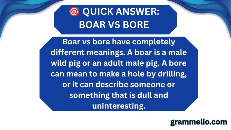 boar vs bore