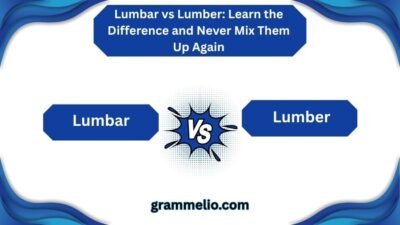 Lumbar vs Lumber