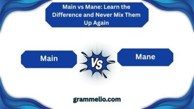 Main vs Mane