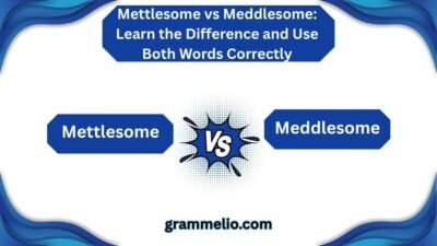 Mettlesome vs Meddlesome