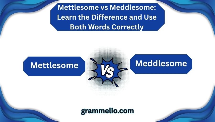 Mettlesome vs Meddlesome