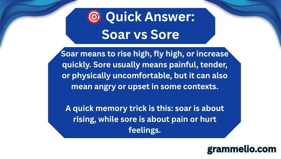 Soar vs Sore