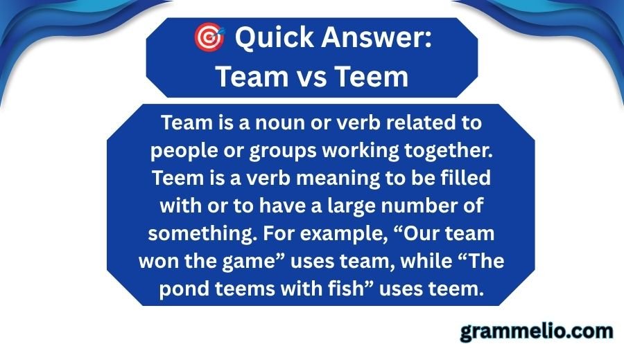 Team vs Teem